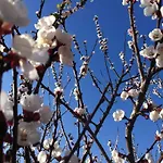 Country House La Querceta Di Marnacchia Εξοχικό σπίτι *