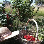Εξοχικό σπίτι Country House La Querceta Di Marnacchia *