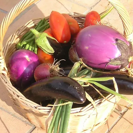 Country House La Querceta Di Marnacchia Landhaus *