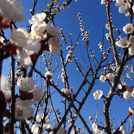 Country House La Querceta Di Marnacchia Landhaus *