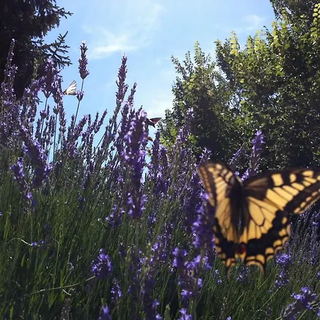 Country House La Querceta Di Marnacchia