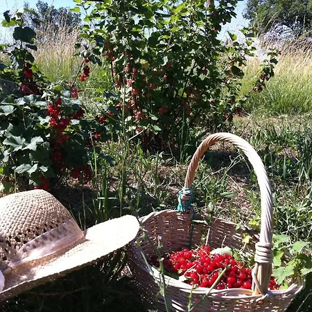 Landhaus Country House La Querceta Di Marnacchia *