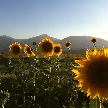 Country House La Querceta Di Marnacchia Amandola