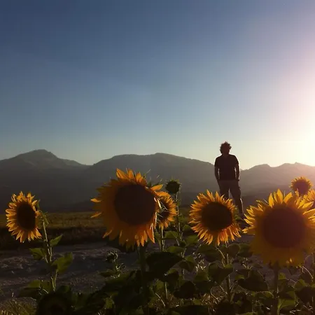 Country House La Querceta Di Marnacchia *