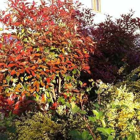 Country House La Querceta Di Marnacchia Landhaus